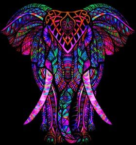 Meet your Posher, Robin